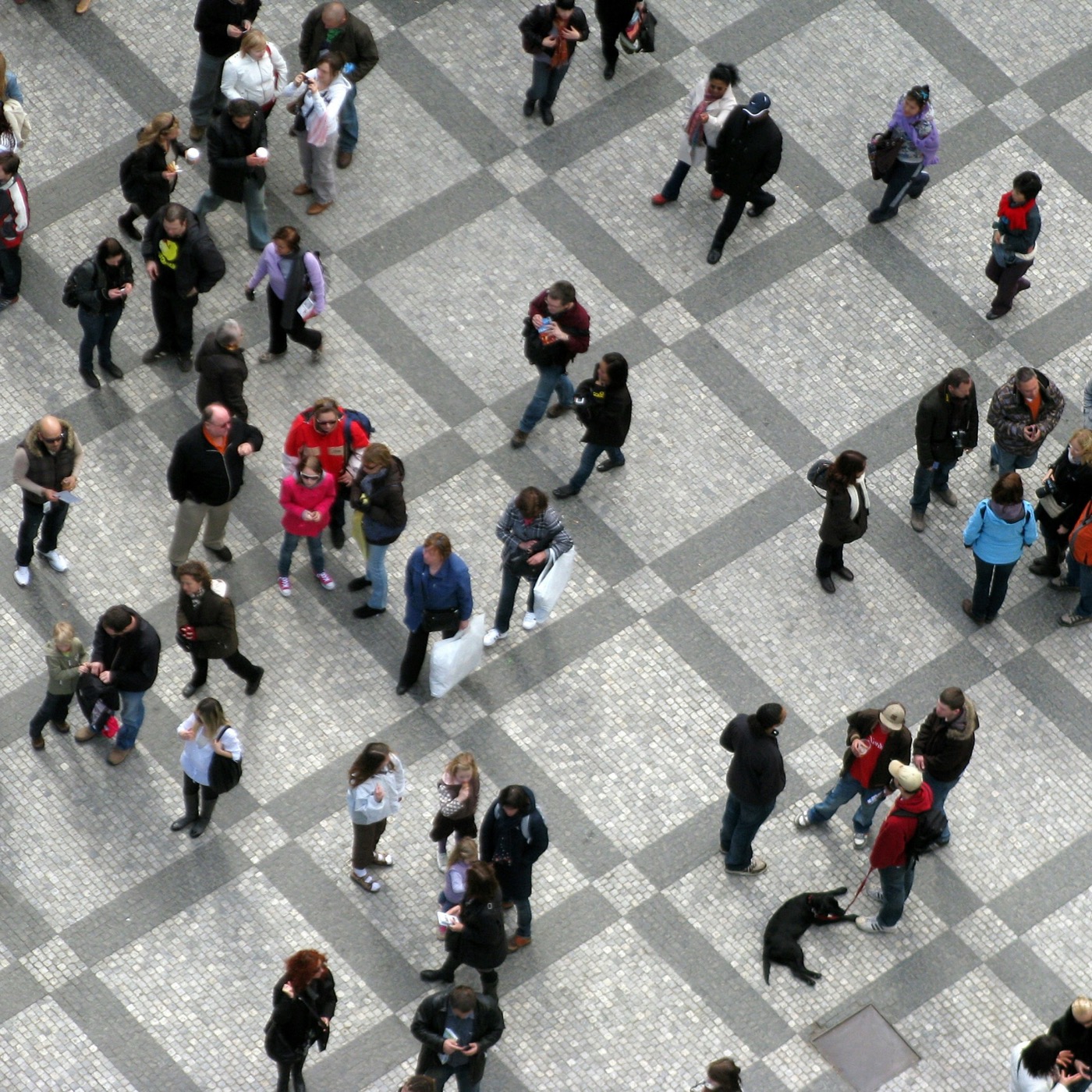 Political Participation of Marginalized Young People: Examining Funding Programs from a European and National Perspective